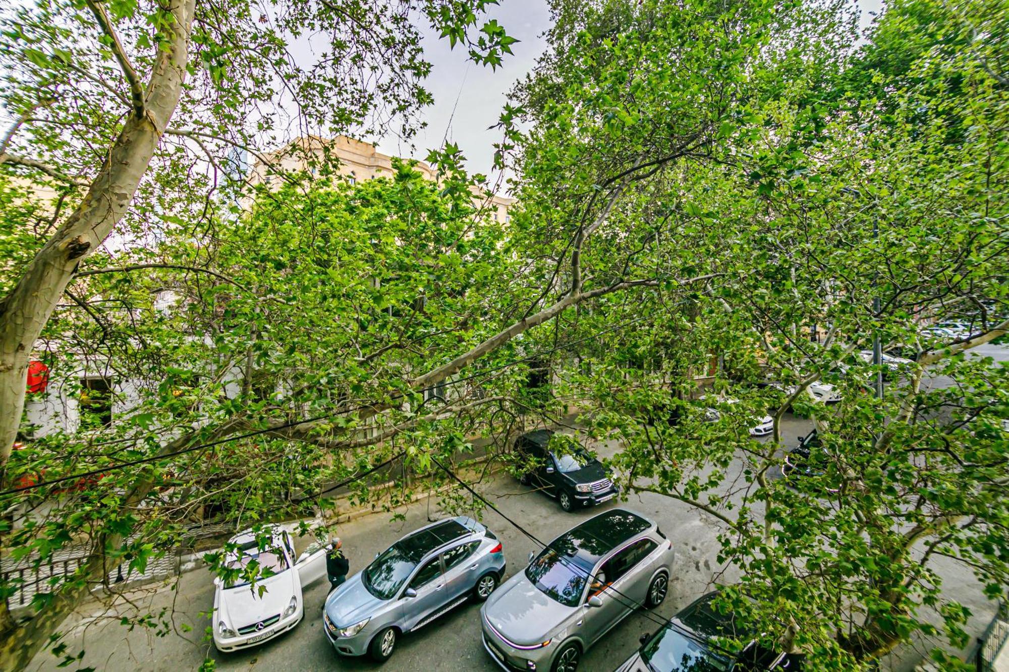 Apartment 2 Bedroom And Living Hall Baku